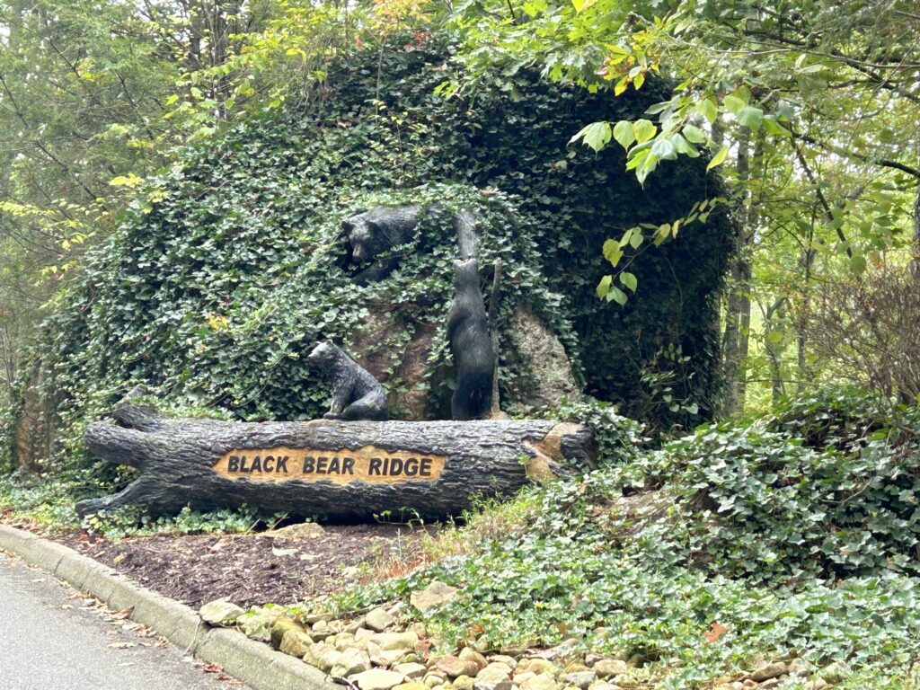 Black Bear Ridge Resort