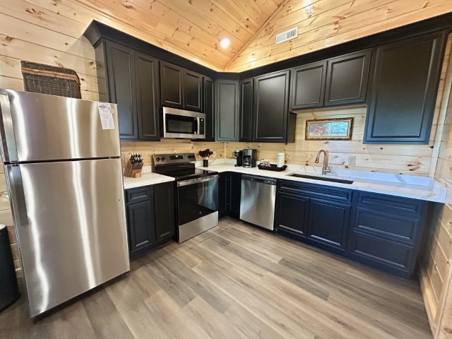 CantsaynoKitchen3 (Small)