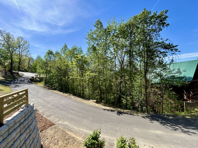 CantsaynoView1 (Small)