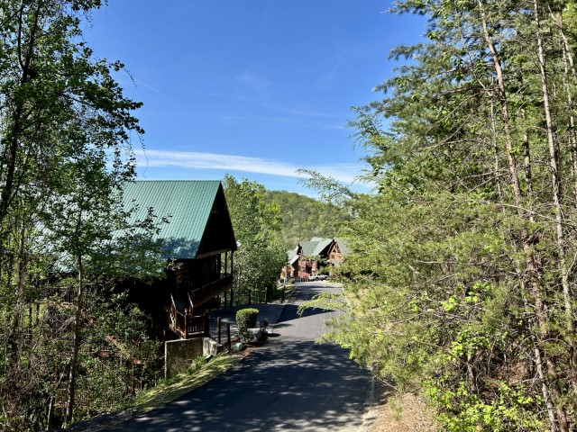 CantsaynoView2 (Small)