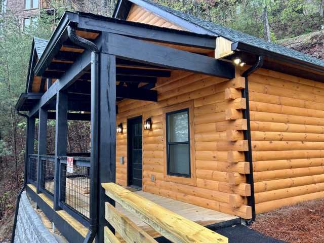 Cantsaynofrontpicmain3 (Small)